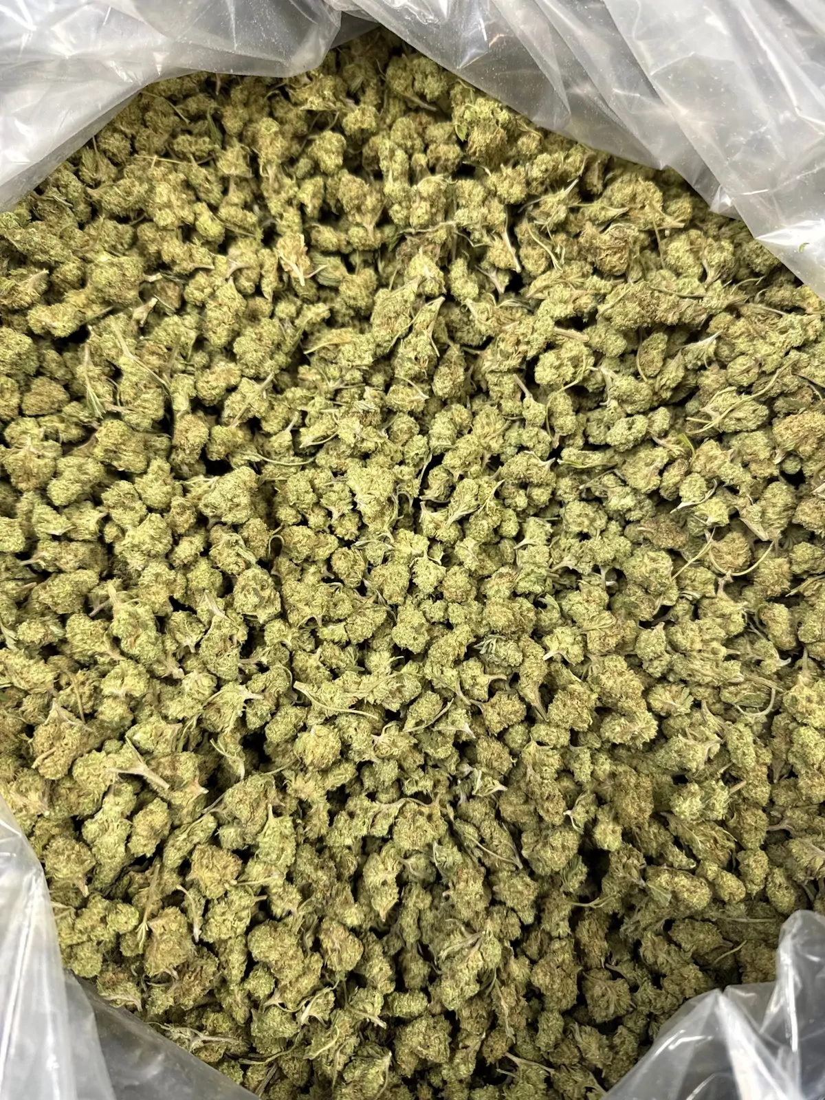 Mule Fuel Packaged Flower